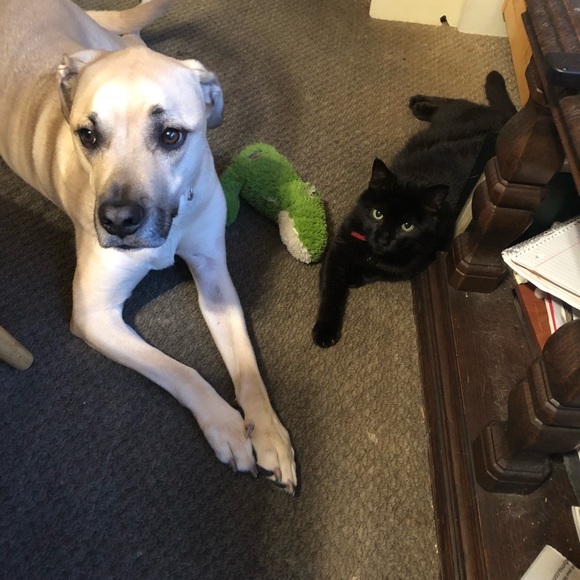 Meet your Posh Ambassador Jamie V!! - Picture 5 of 6